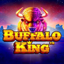 Buffalo King Buffalo King
